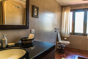 En-suite Bathroom, Racket-Tailed Drongo